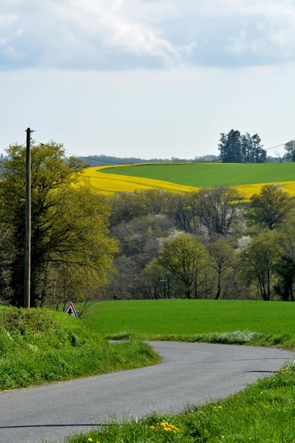Route de campagne entre champs verts et jaunes