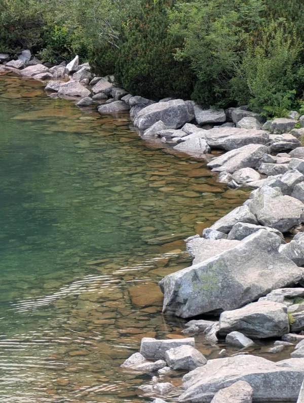 Rivage rocheux au bord d’une eau cristalline