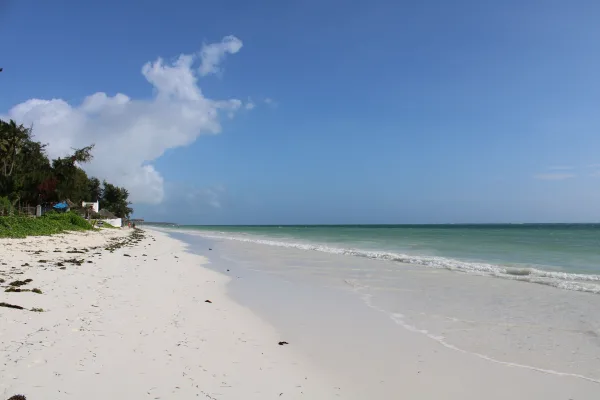 Plage tropicale de sable blanc et mer turquoise