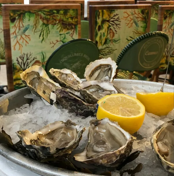 Plateau d’huîtres fraîches sur glace avec citron