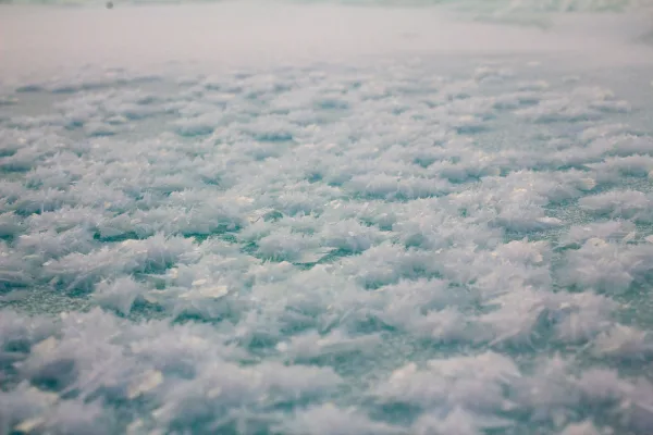 Texture de glace hivernale avec cristaux de neige naturels