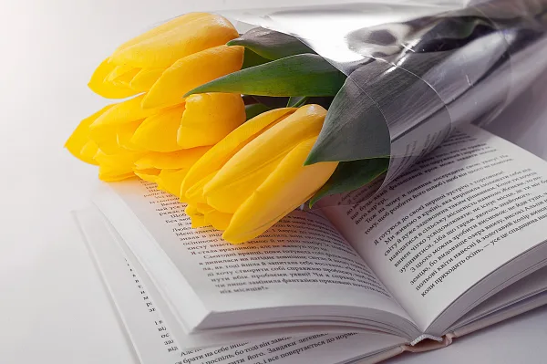 Tulipes jaunes sur un livre ouvert – photo esthétique et élégante