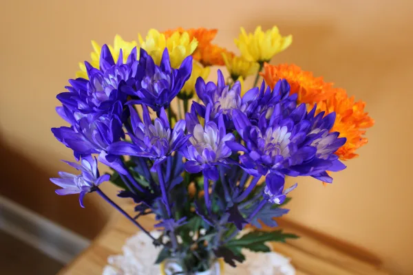Bouquet de fleurs violettes, jaunes et orange en vase