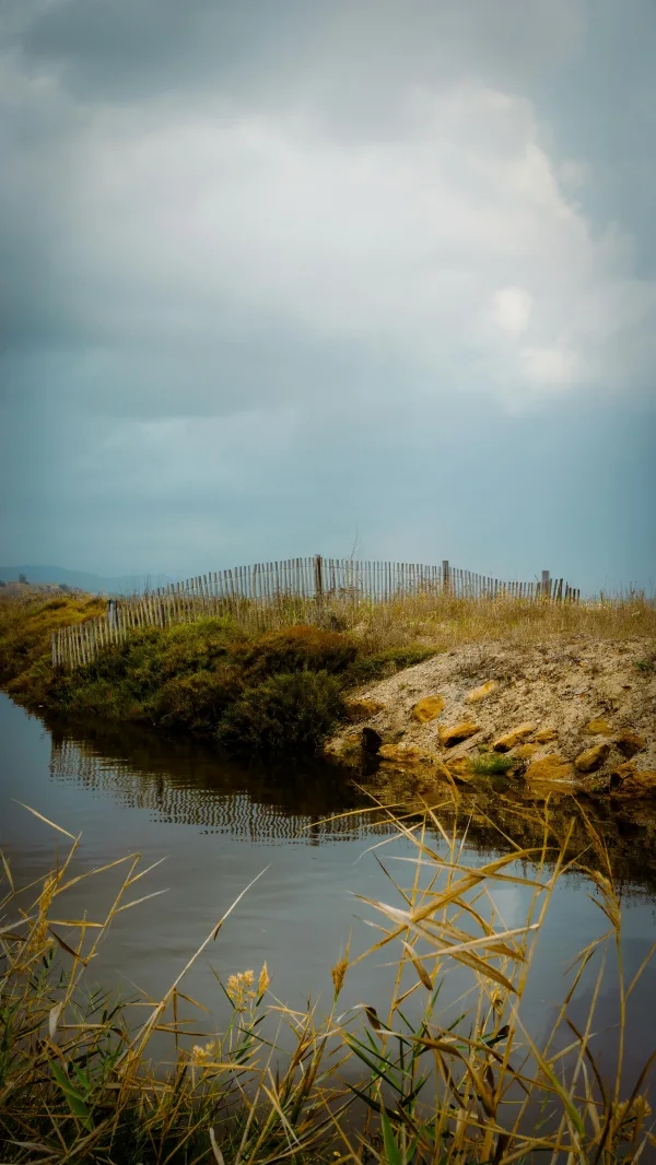 Petit canal naturel sous un ciel nuageux dans un paysage sauvage