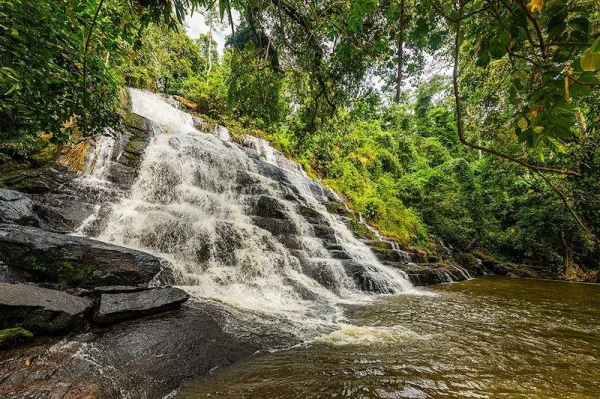 Magnifique cascade naturelle au cœur de la forêt tropicale
