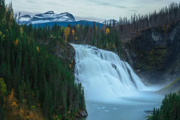 Cascade majestueuse au cœur d’une forêt de montagne