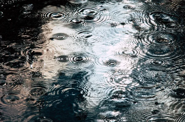 Ondulations de pluie sur une surface d’eau – texture abstraite et apaisante