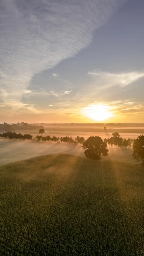 Lever de soleil brumeux au-dessus des champs vus par drone