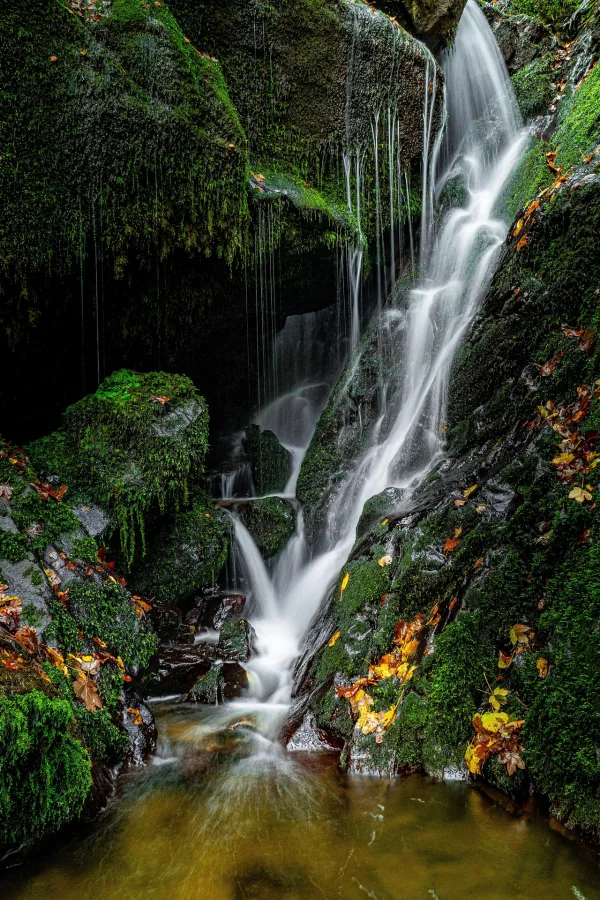Cascade en forêt sur des rochers moussus – Photo de nature en haute résolution