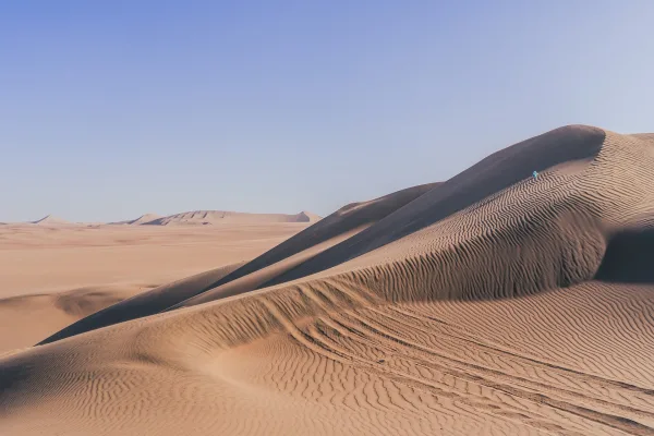 Dunes de sable dans le désert – Paysage désertique panoramique en haute résolution