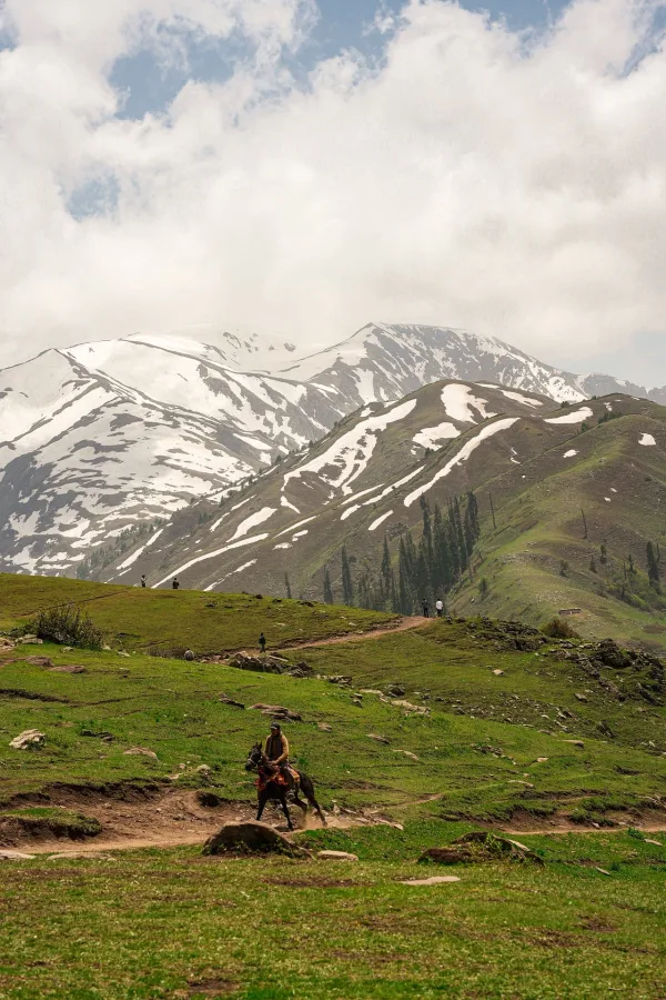 Montagnes enneigées et prairie alpine – Paysage naturel de haute montagne