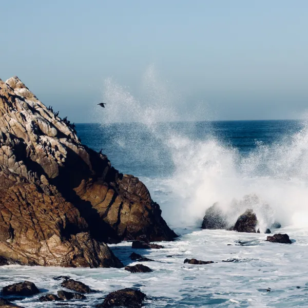Vagues s’écrasant sur des falaises rocheuses en bord d’océan