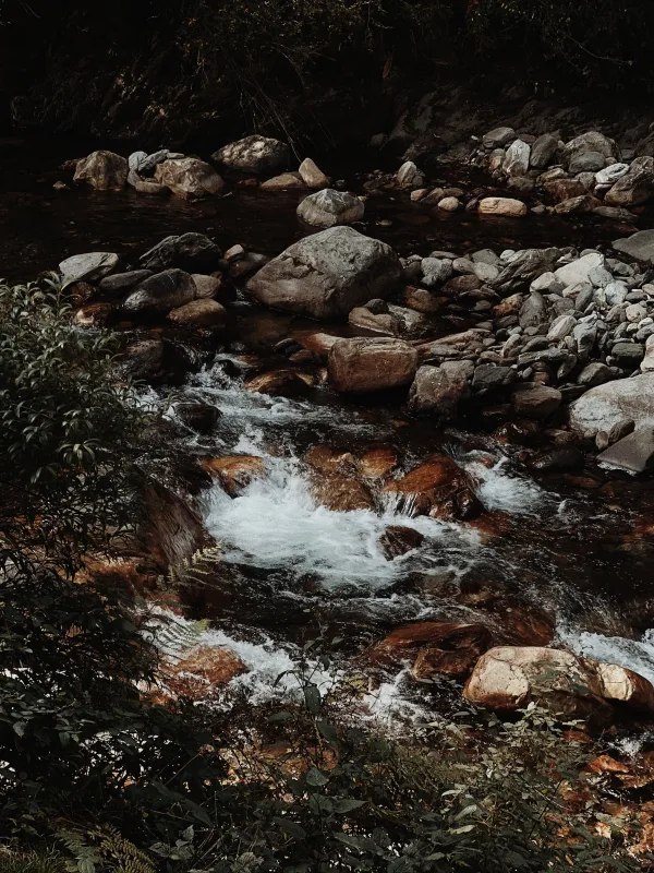 Ruisseau de montagne traversant des rochers en pleine nature