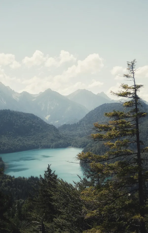 Lac de montagne turquoise entouré de forêts et de sommets alpins