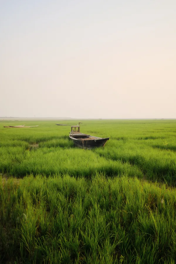 Bateau traditionnel au milieu d’une prairie inondée au lever du jour