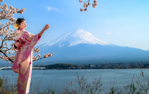 Femme en kimono devant le Mont Fuji pendant la floraison des cerisiers