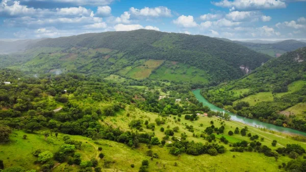 Vallée verdoyante traversée par une rivière au cœur de collines luxuriantes