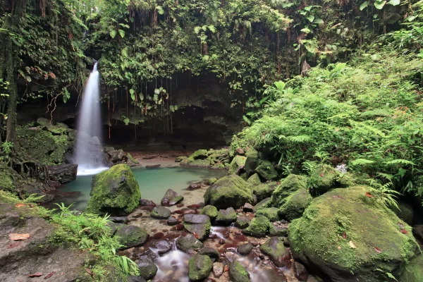 Cascade cachée au cœur d'une forêt tropicale luxuriante