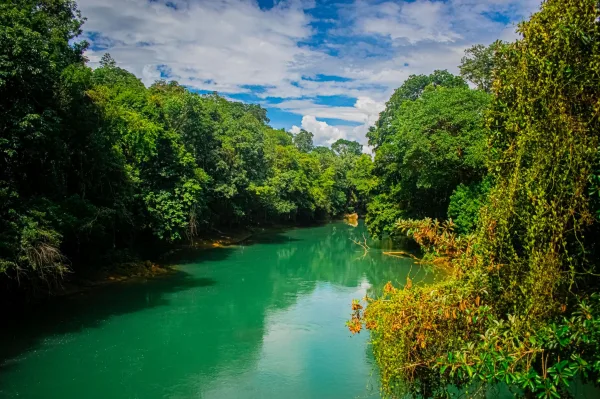 Rivière émeraude traversant une forêt tropicale luxuriante